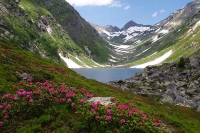 dorfersee.jpg